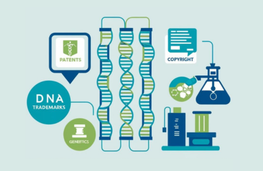 A Guide to Intellectual Property Protection in Biotechnology and Genetics