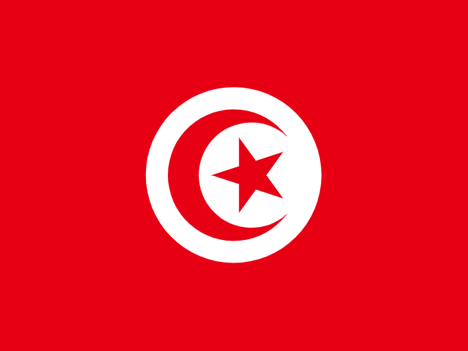 TUNISIA flag